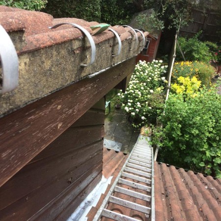 Exterior Property Decorating in Whetstone, all completed on ladders.